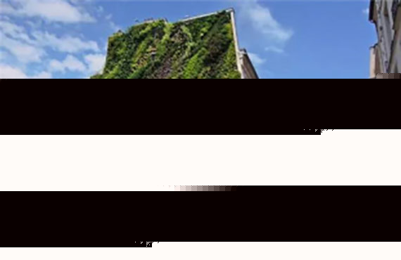 Third slide
