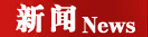新聞?lì)l道