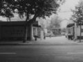 中國(guó)美院 80年校慶(圖)