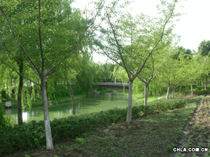 點(diǎn)擊查看