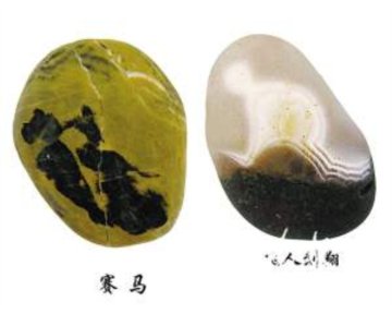 賽馬與飛人劉翔