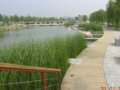 鄭州大學校園景觀(組圖)