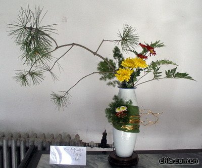 北海公園舉辦第二十九屆菊花展