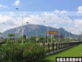 廈門大學漳州校區綠化(圖)