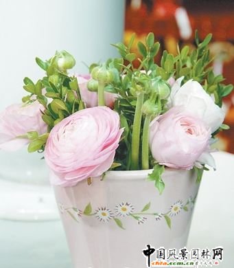 雙節(jié)來(lái)臨 教你做插花美飾家(組圖)