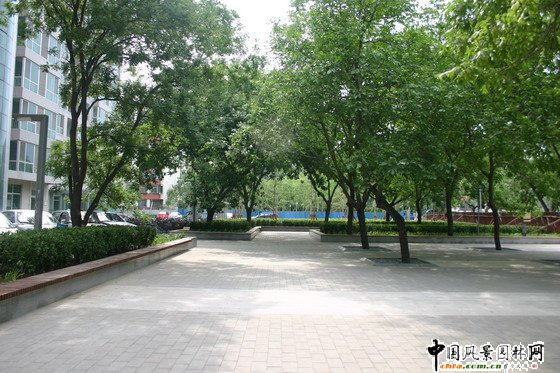清華東路道路綠化工程交流廣場