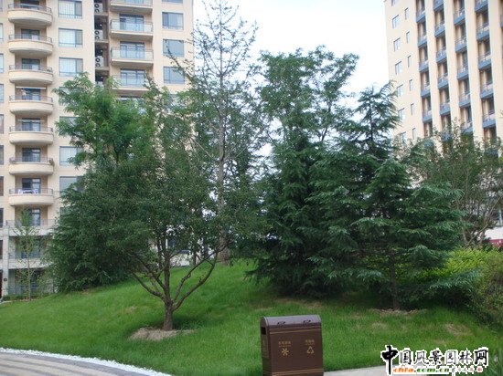 2008(hu)(yu)|(zh)֮(l)ɇ(gu)H@H^(q)@־^