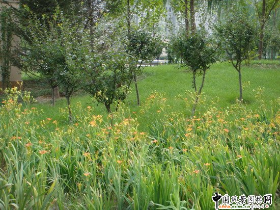 2008(yu)|(zh)֮ɇH@H^(q)@־^