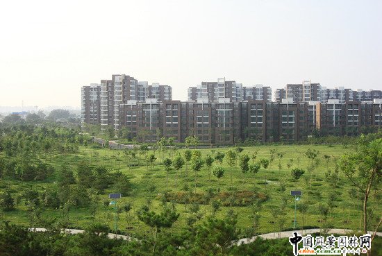2008社會(huì)優(yōu)質(zhì)工程之大興區(qū)舊宮鎮(zhèn)旺興湖郊野公園