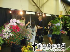 美國花博會布展現(xiàn)場