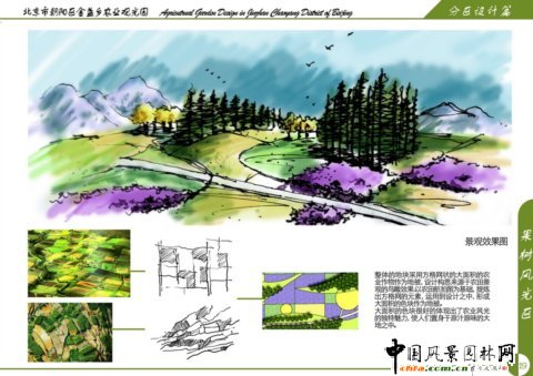 果樹風光區(qū)