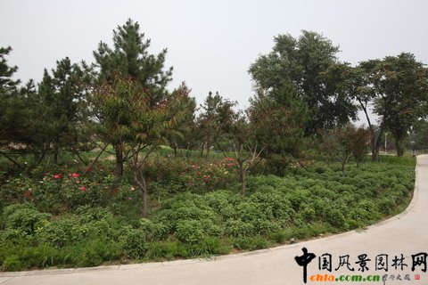 綠堤郊野公園實景照片