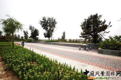 綠堤郊野公園實景照片