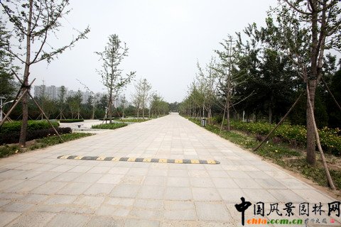 北京市豐臺(tái)區(qū)綠堤郊野公園建設(shè)工程