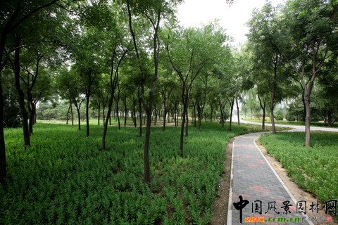 北京市豐臺(tái)區(qū)綠堤郊野公園建設(shè)工程