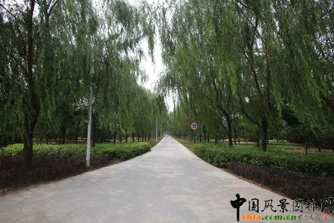 北京市豐臺(tái)區(qū)綠堤郊野公園建設(shè)工程