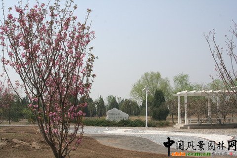 北京市豐臺(tái)區(qū)綠堤郊野公園建設(shè)工程