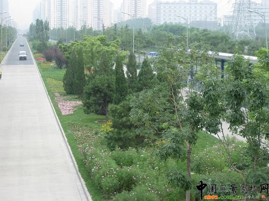 俯視的效果