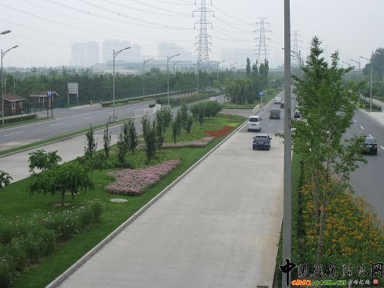 整齊的綠地