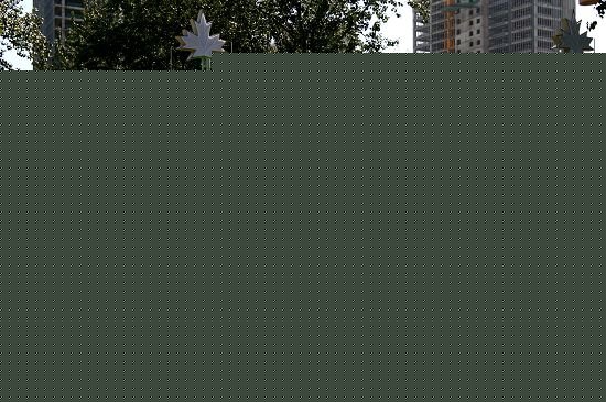 石景山區政府北綠地花卉流動感強烈