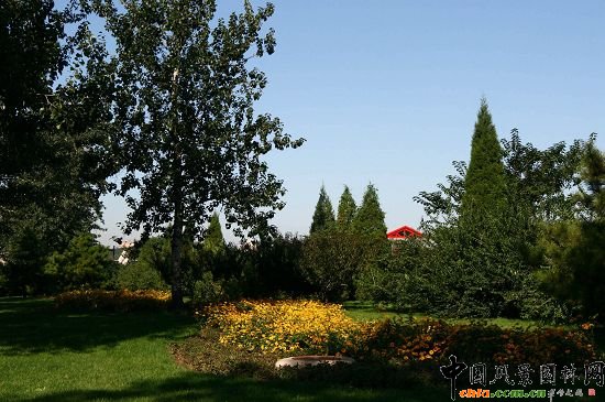 八寶山地鐵東北口綠地中流線(xiàn)型種植的花卉