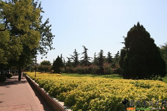 雕塑公園北綠地色流線型種植的花卉與人行道