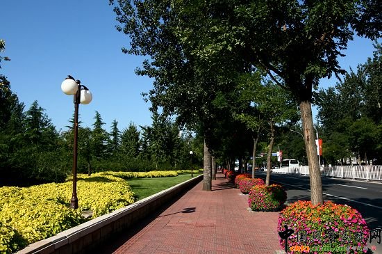 雕塑公園北綠地色帶前種植的花卉與人行道中擺放的花缽