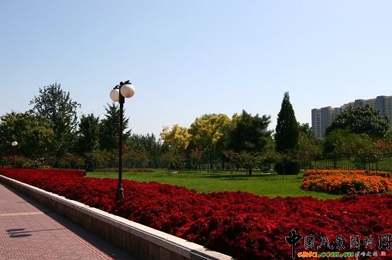 雕塑公園北綠地色流線型種植的花卉與人行道