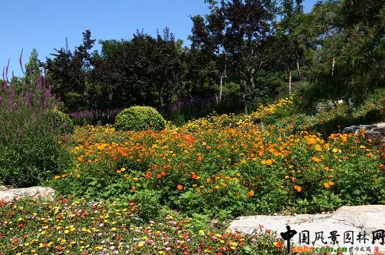 骨灰堂山體綠地花卉種植突出山野氣氛