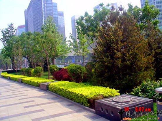 西二環示范段道路綠化整治工程