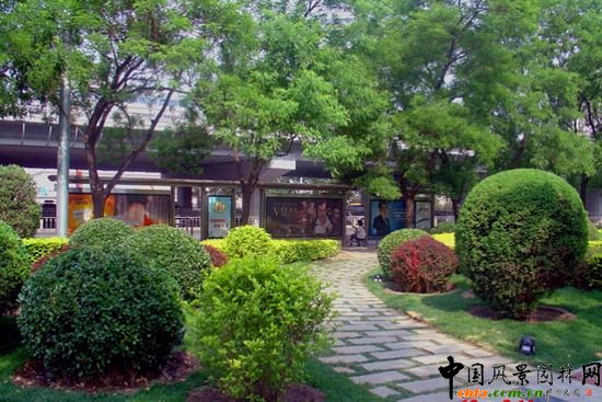 西二環示范段道路綠化整治工程