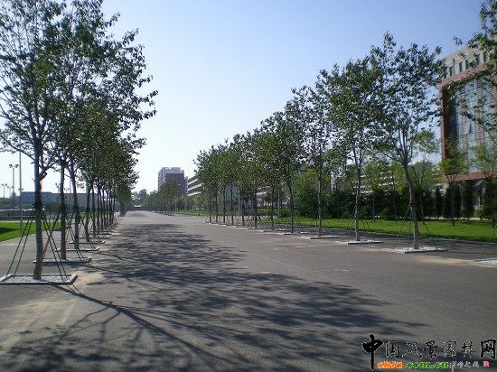 次級道路兩側(cè)