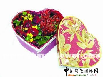 2009年春節情人節商業花禮特輯(組圖)