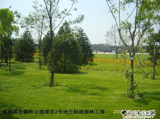 Wƥɭֹ@υ^(q)2̖(bio)Έ@־G