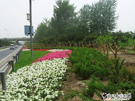 首都機(jī)場(chǎng)五元橋