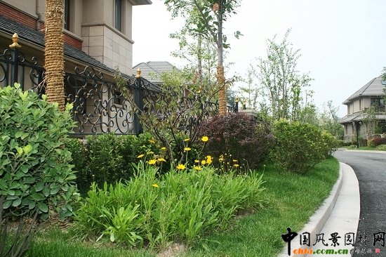 道路兩側(cè)