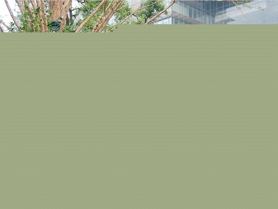 凱晨廣場--綠化景觀