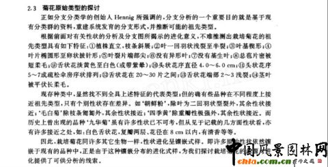 中國菊屬一些種的分支分類學研究