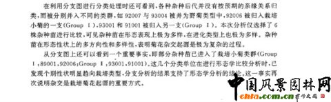 中國菊屬一些種的分支分類學研究