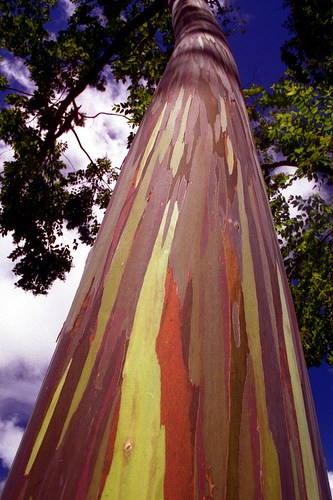 ɫSĘ䣺ʺ߶ȿ_(d)70