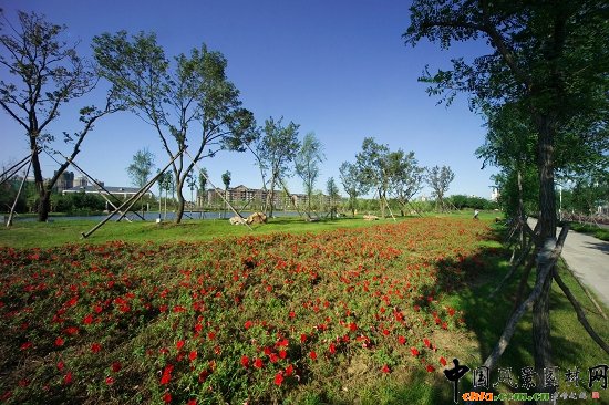 花海藍(lán)天宜人景