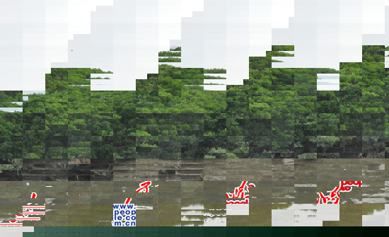 λڱo^ą^ļthhȥˮһֻˮB
