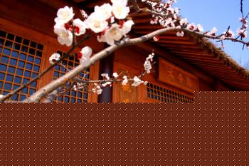 詩(shī)意長(zhǎng)安園