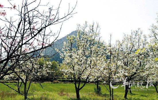 道格拉斯·道林 設(shè)計 道林集團 城市規(guī)劃