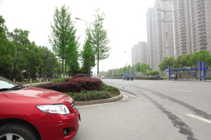 綠化帶 礙眼 影響交通安全 中國風(fēng)景園林網(wǎng)