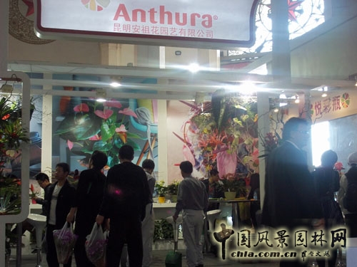 中國(guó)風(fēng)景園林網(wǎng) 展會(huì)信息 花卉展