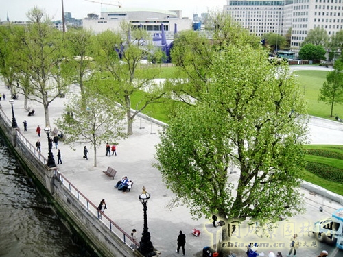 West8倫敦女王禧慶花園 世界園林 規(guī)劃設(shè)計(jì) 中國(guó)風(fēng)景園林網(wǎng)