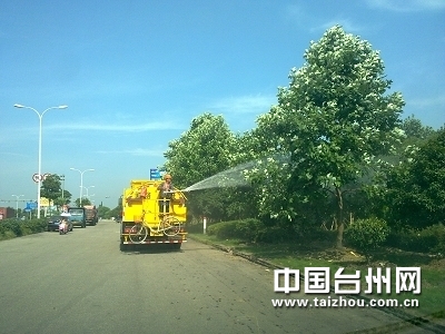 浙江 公路 綠化