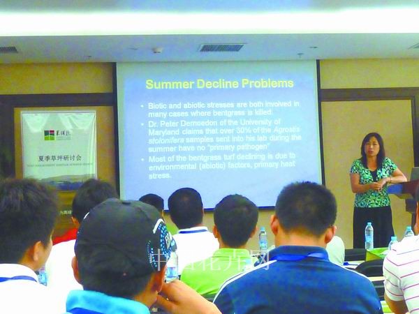 養(yǎng)護(hù) 夏季 管理