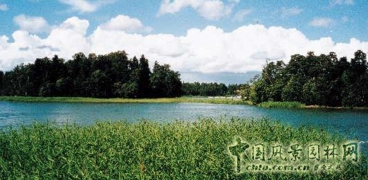 連載 劉秀晨 綠色的云 城鄉(xiāng)一體 綠地系統(tǒng) 中國風(fēng)景園林網(wǎng)